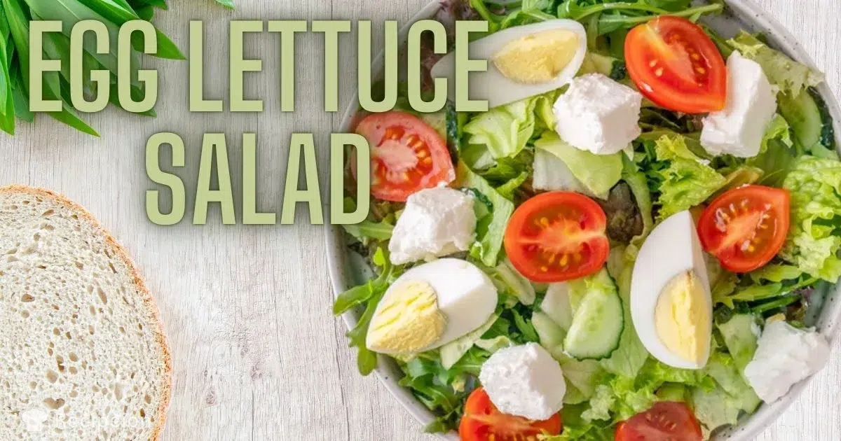 Egg lettuce salad