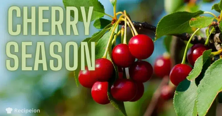 Cherry season